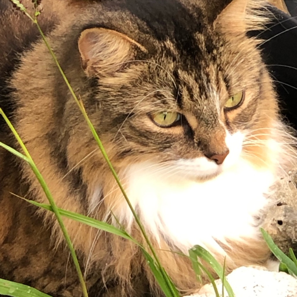 Meet your Posher, Tereasa